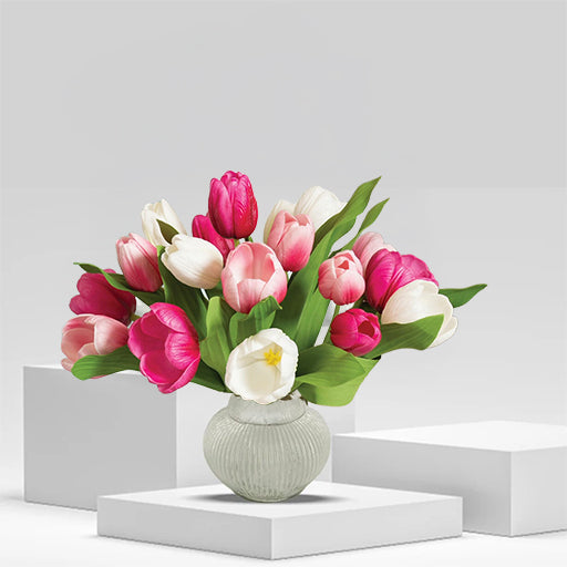 Tulips Flower
