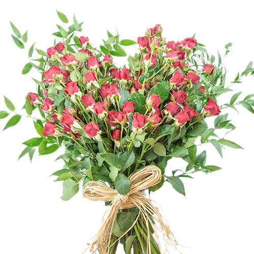 Order Love & Romance Flowers Online Qatar